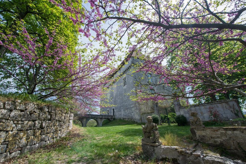 Chateau De Goudourville Villa Екстериор снимка