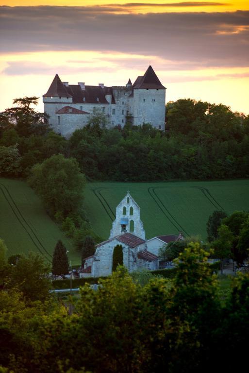 Chateau De Goudourville Villa Екстериор снимка