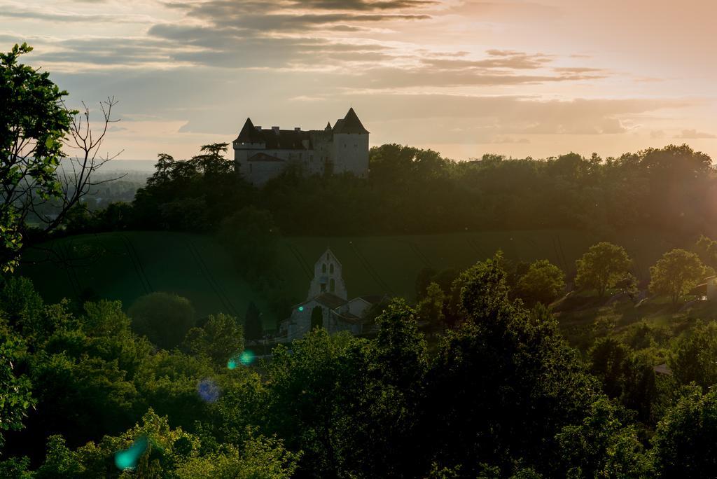 Chateau De Goudourville Villa Екстериор снимка