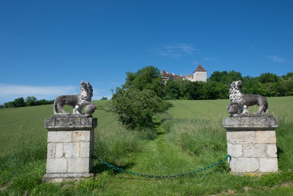 Chateau De Goudourville Villa Екстериор снимка